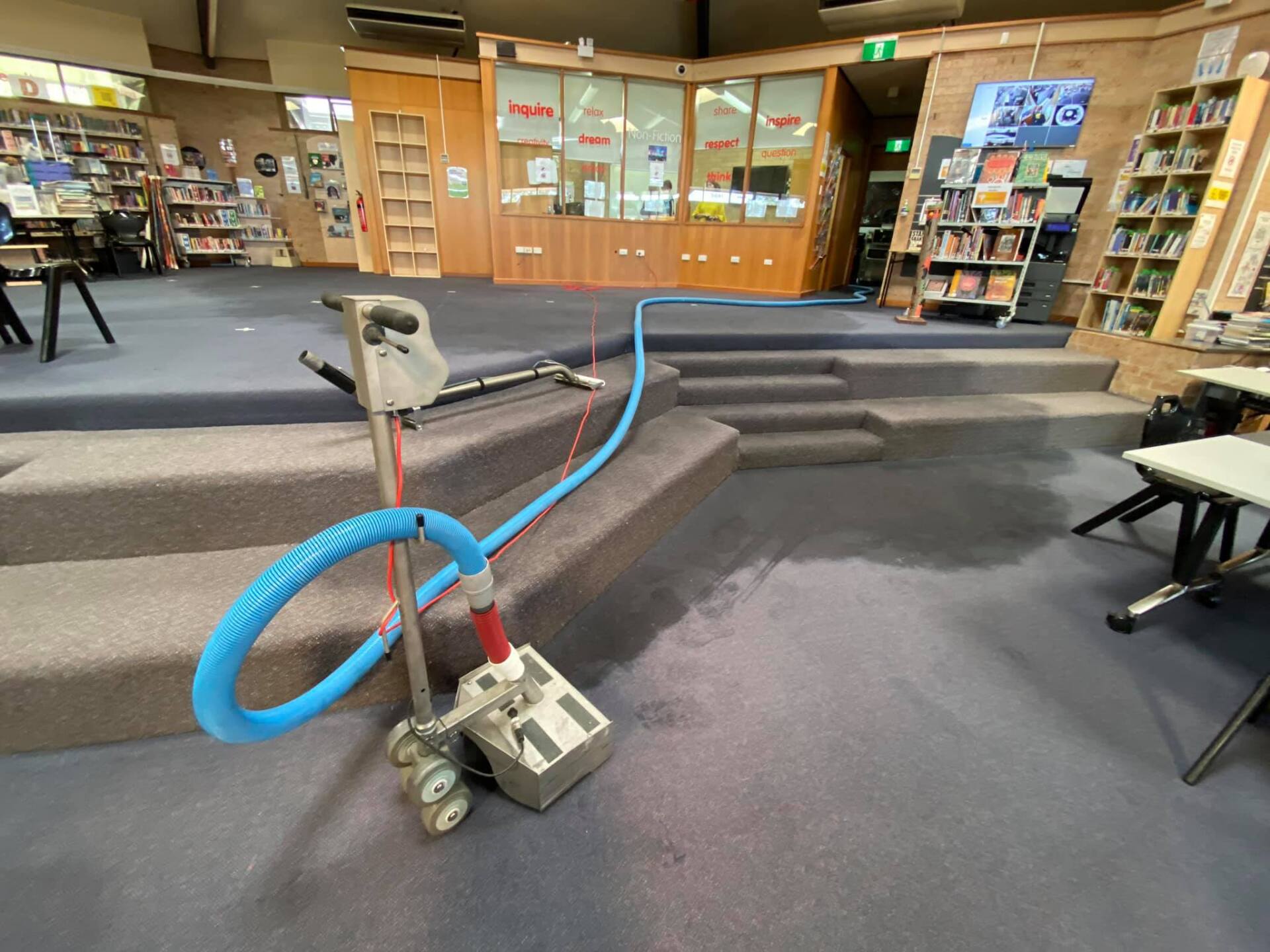 Professional Carpet Cleaning — Carpet Cleaners in Shellharbour, NSW