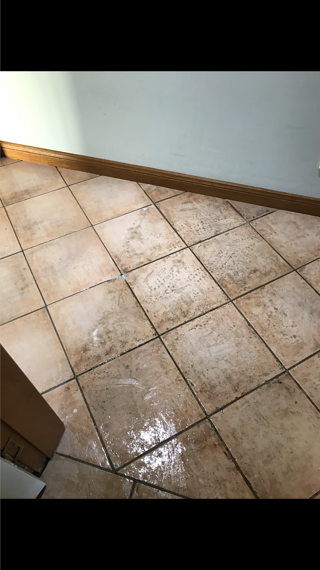 tile and grout cleaning in progress, Shellharbour