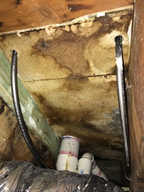 Water Damage Under The Sink — Carpet Cleaners in Albion Park Rail, NSW