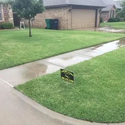 nice lawn after rain 