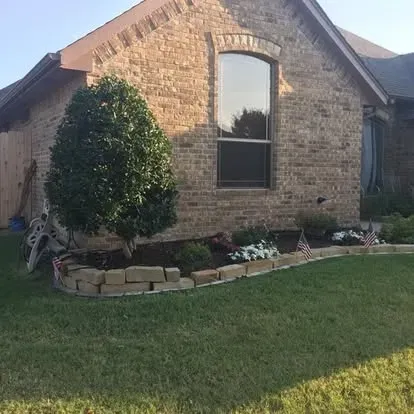 sunshine and new landscape 