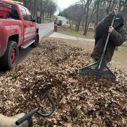 professional leaf removal services