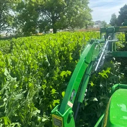 Lawn care in Norman, OK 