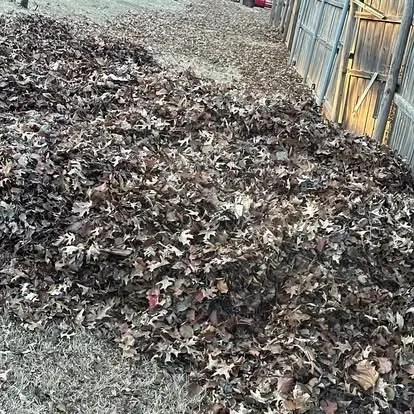 leaf removal in Edmond, OK 