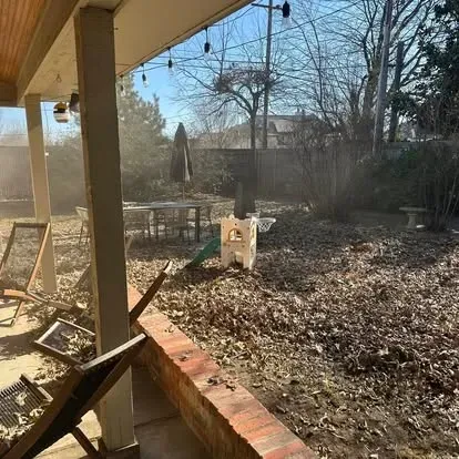 Leaf removal in Moore 