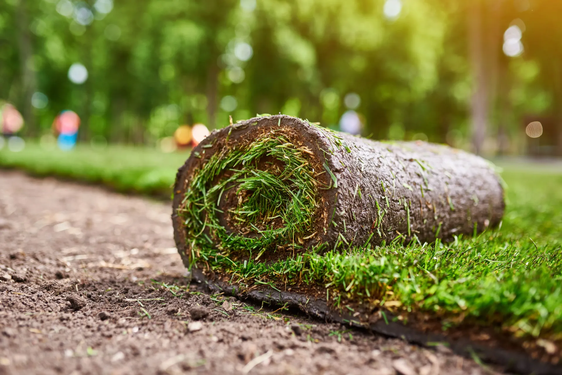 making new lawn using artificial turf 
