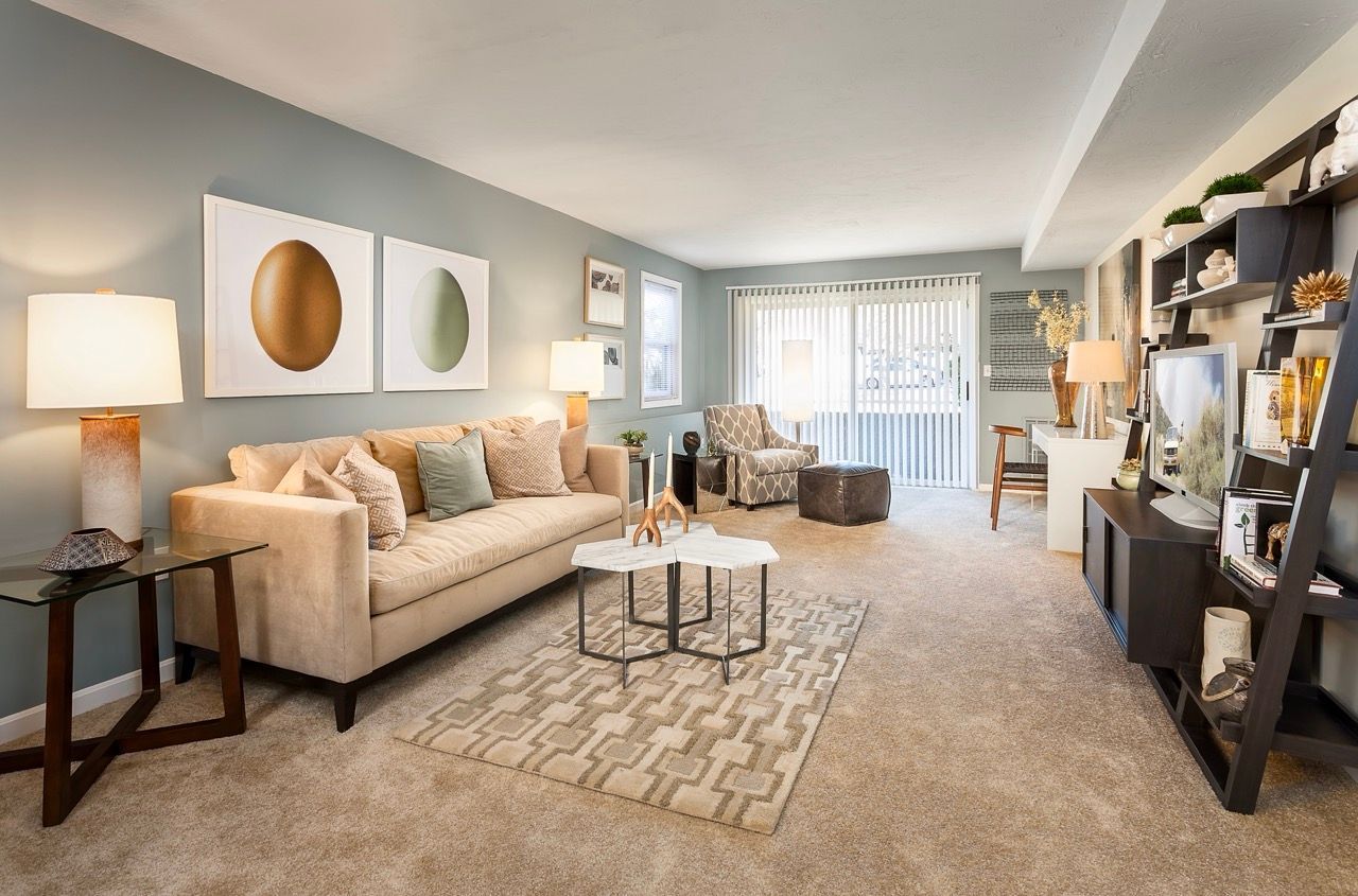 Living room in a stylish apartment with beige sofa, geometric rug, and built-in shelves.