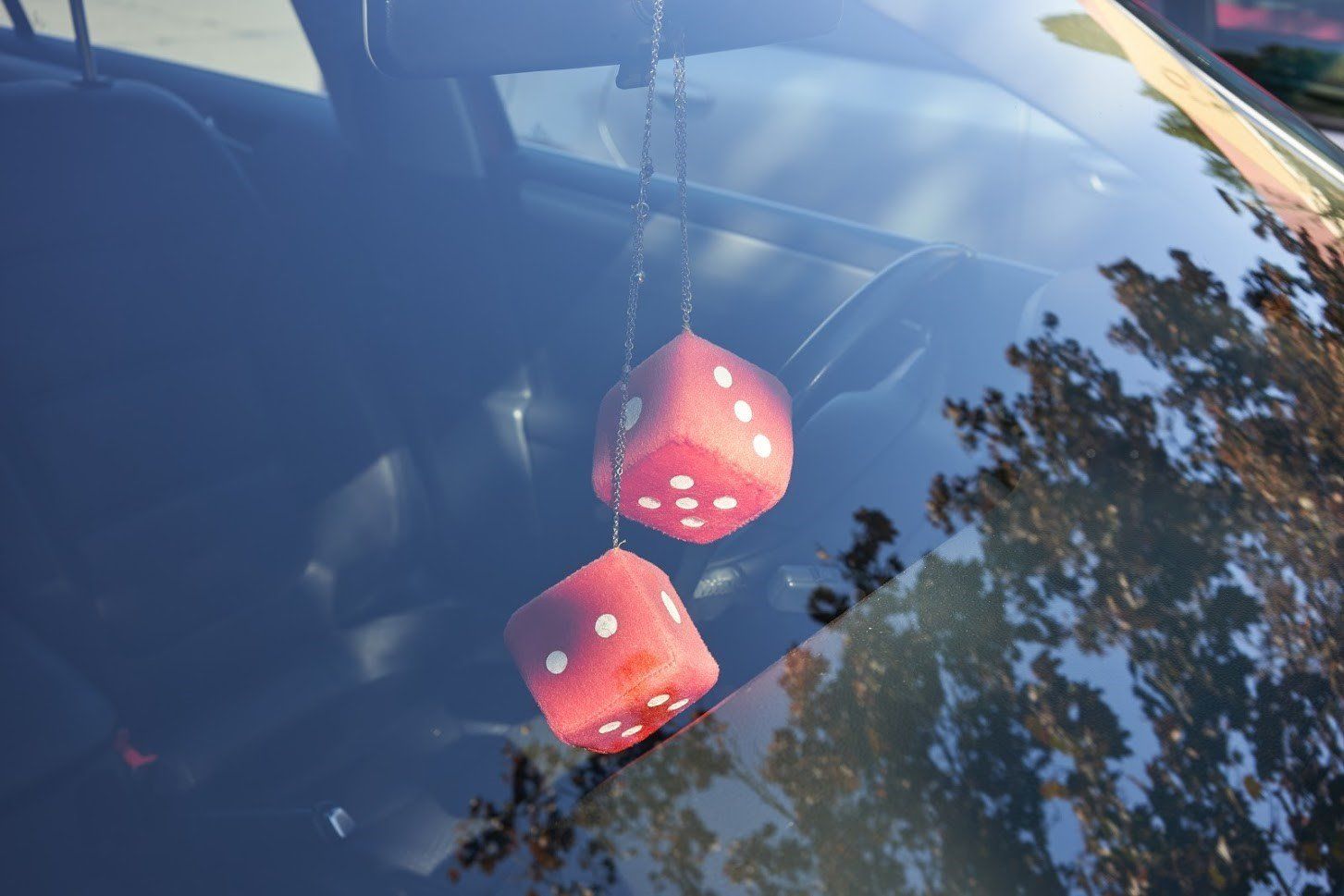 Car Windshield and Fuzzy Dice | Seattle, WA | MS Glass Outlet