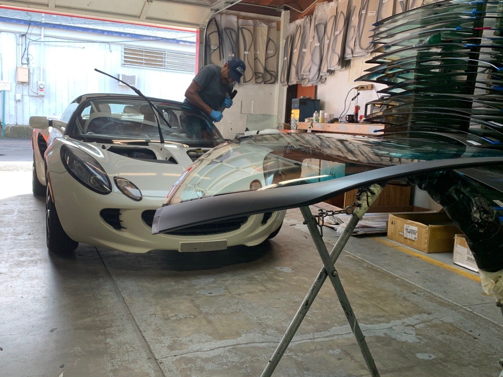 Lotus- windshield replacement