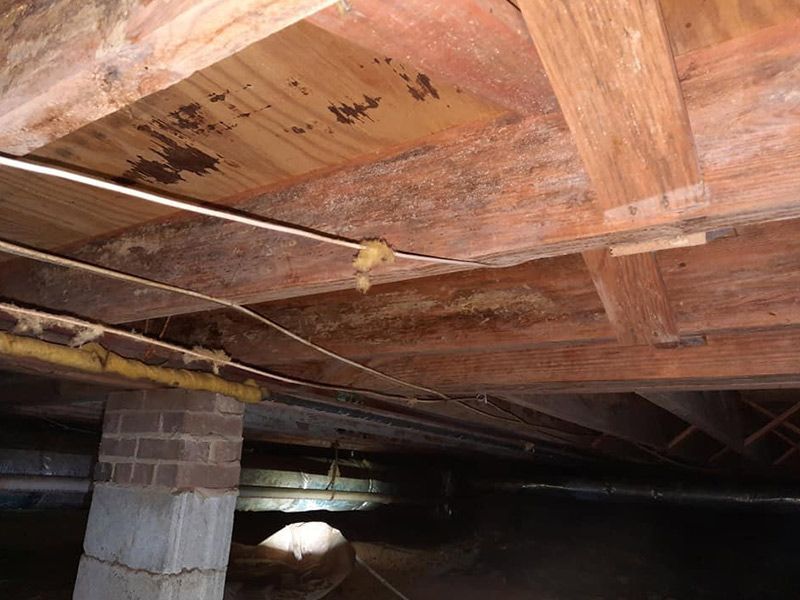 Underneath a house, showing wooden beams with signs of moisture, possible mold, and wiring.