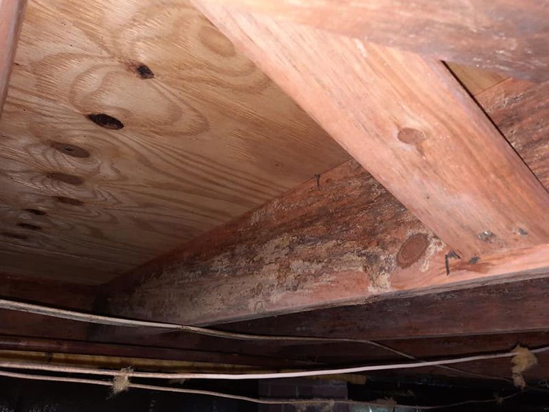 Wooden joists and plywood subfloor with possible mold or water damage.