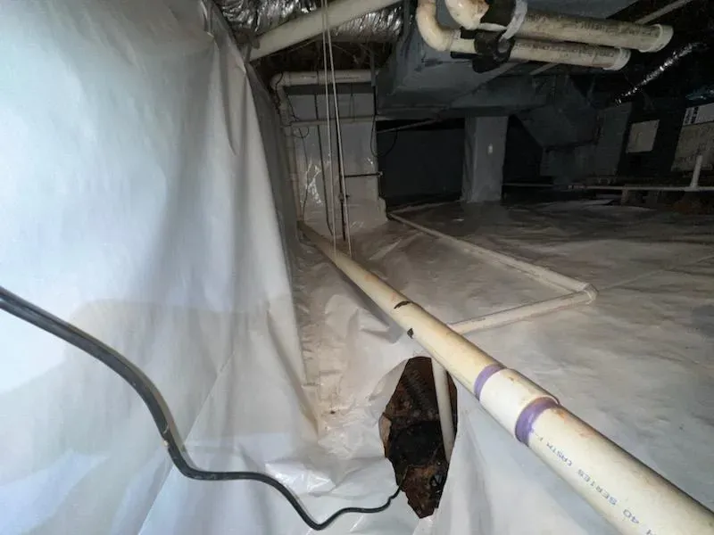 Crawl space with white vapor barrier, piping, and a black hole.