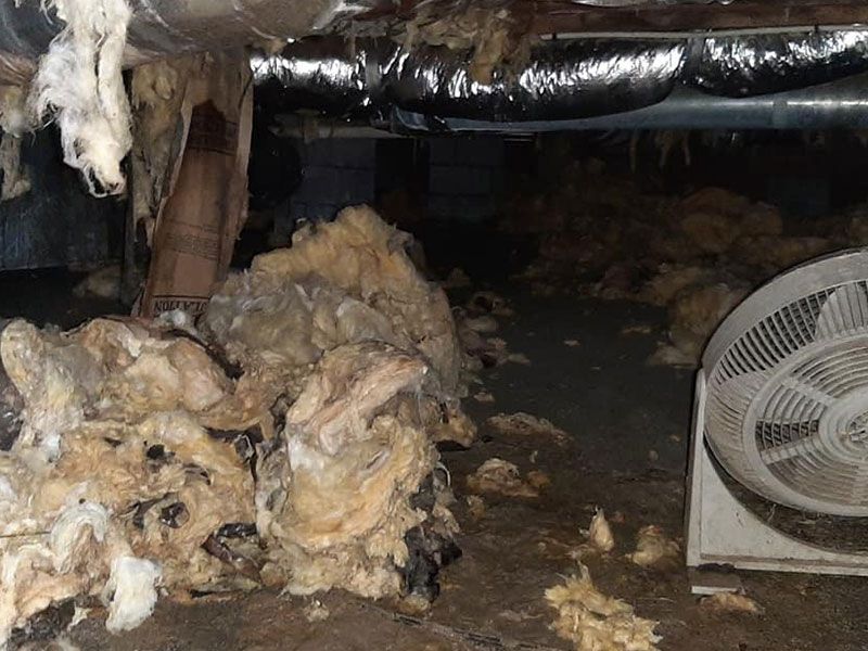 Chunky, soiled insulation debris in a dark crawl space; a white fan is visible on the right.
