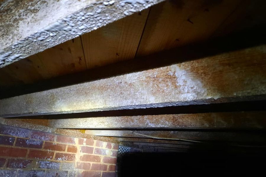 Wooden beams in a dimly lit crawlspace, resting on a brick wall. White mold-like substance on the wood.