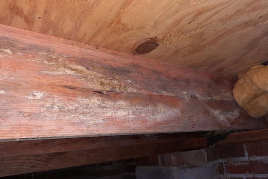 Moldy wooden beam and plywood ceiling in a crawl space, likely indicating moisture damage.