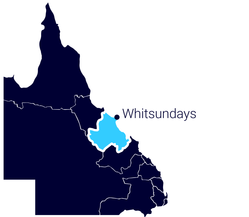 A Couple Of Palm Trees Standing Next To A Body Of Water  — Surveillance NQ In Airlie Beach, QLD