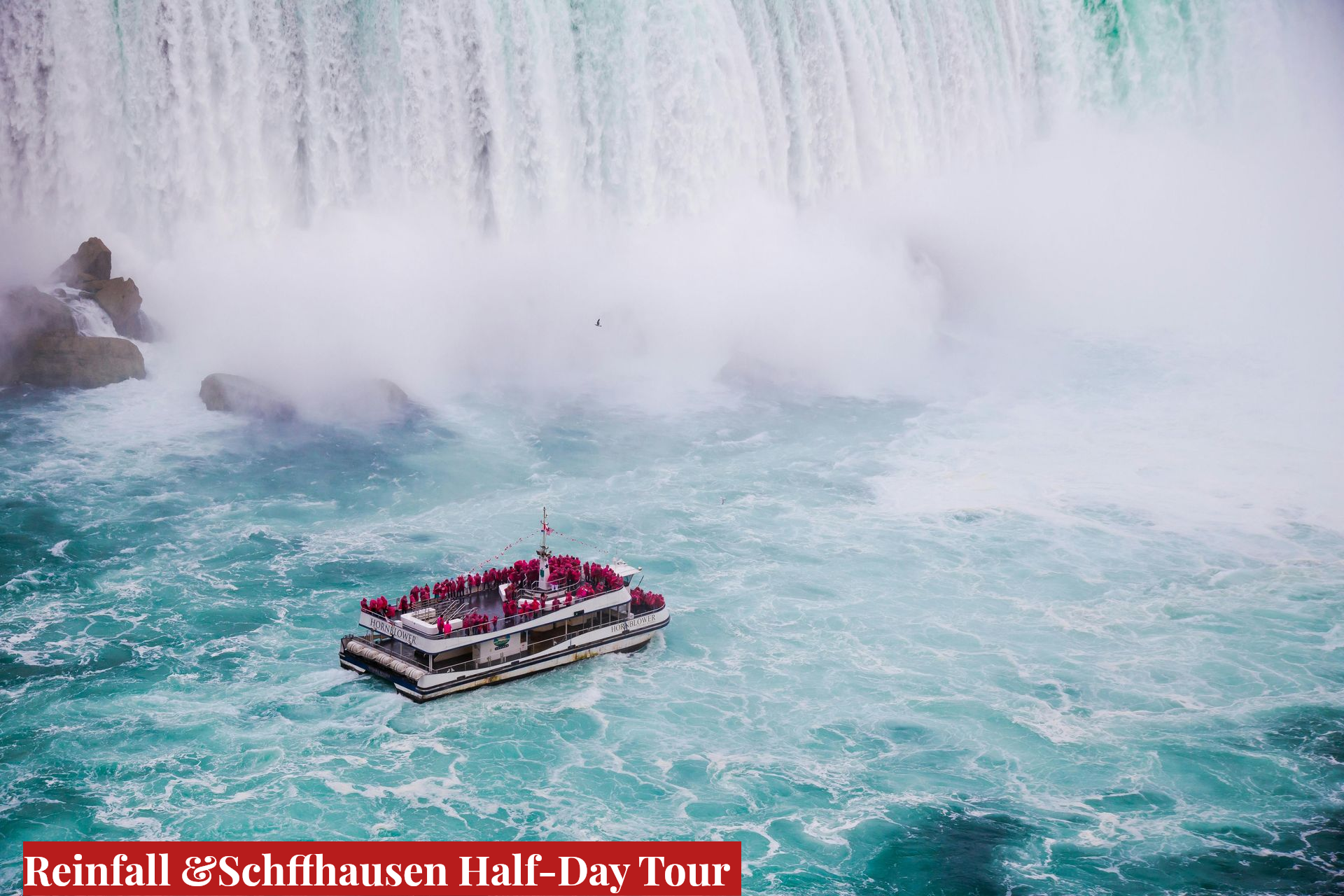 Private Half Day Trip from Zurich Visit The Rhinefalls and Stein am Rhein