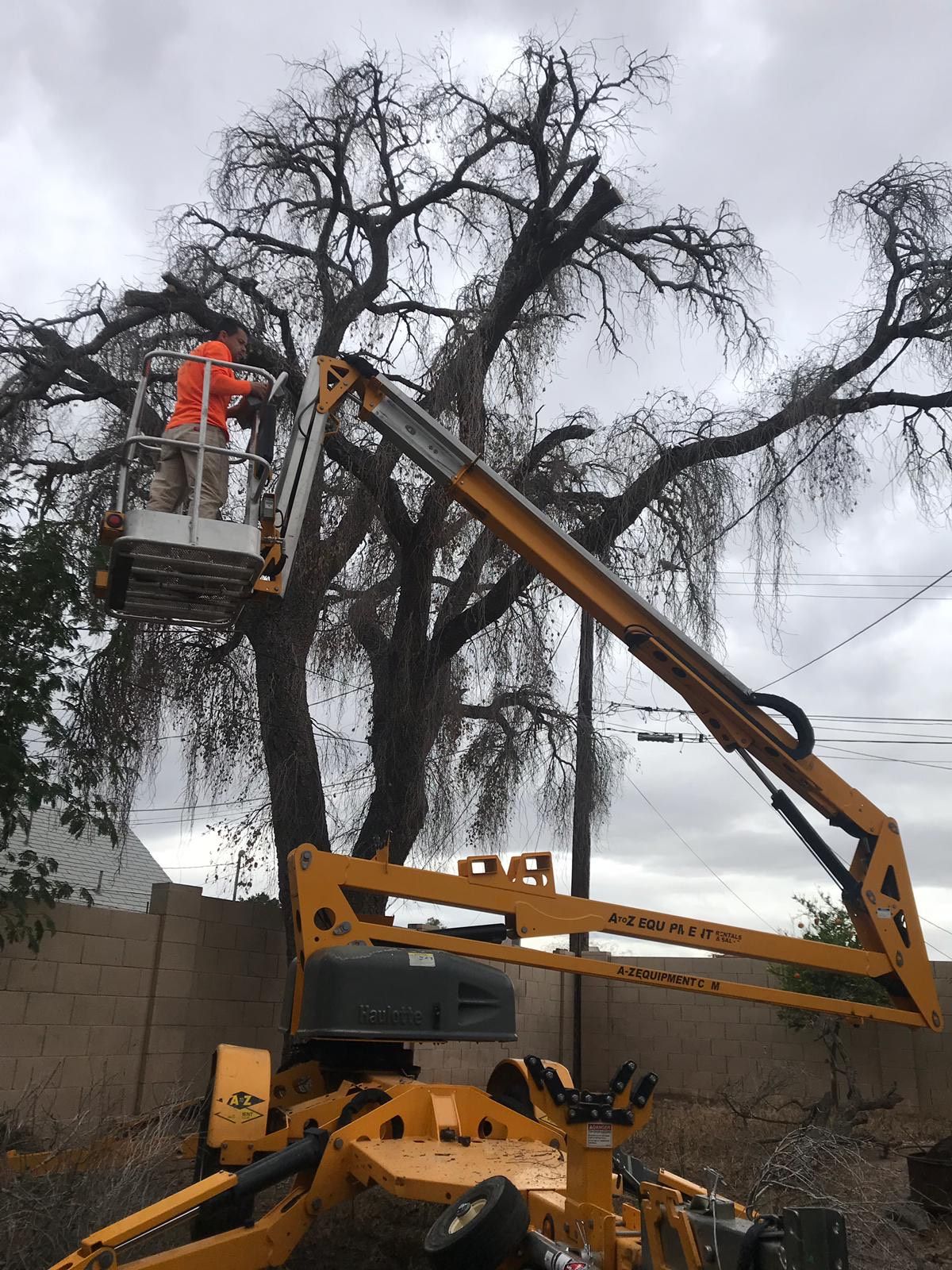 A man is cutting a tree with a crane.