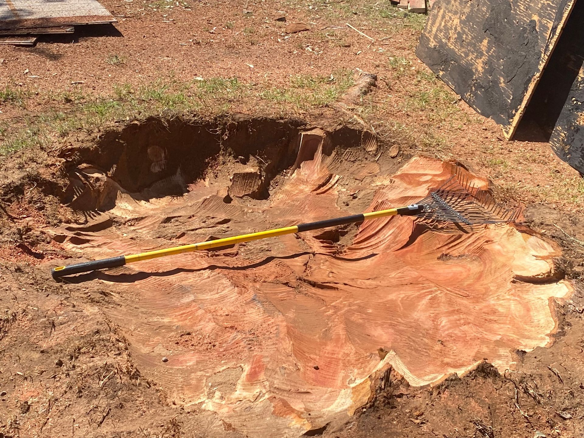 A tree stump with a yellow measuring tape on it
