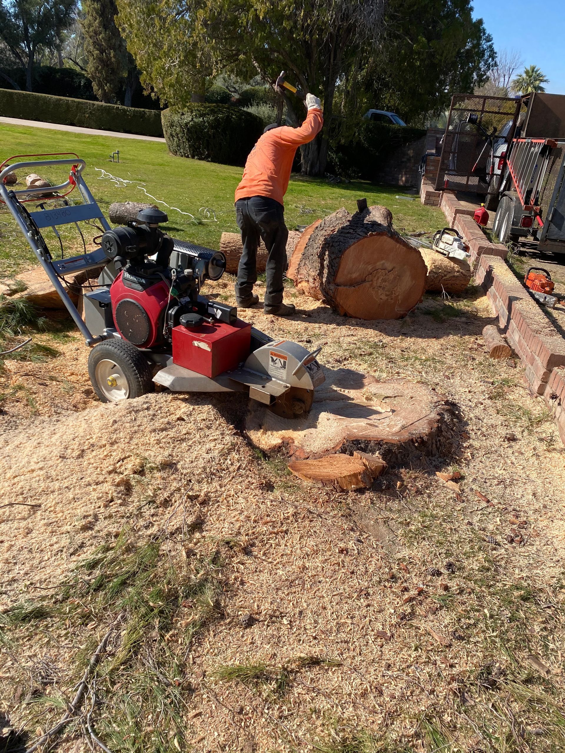 A man is using a stump grinder to remove a tree stump.