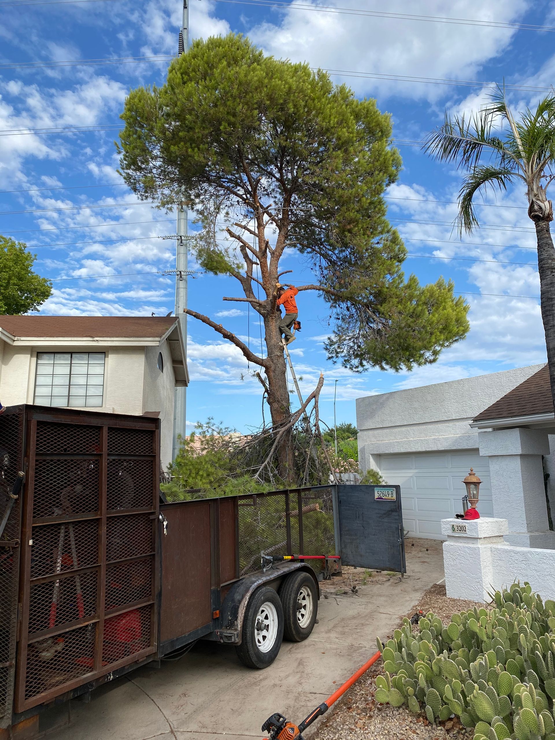 A man is cutting a tree on a trailer in front of a house