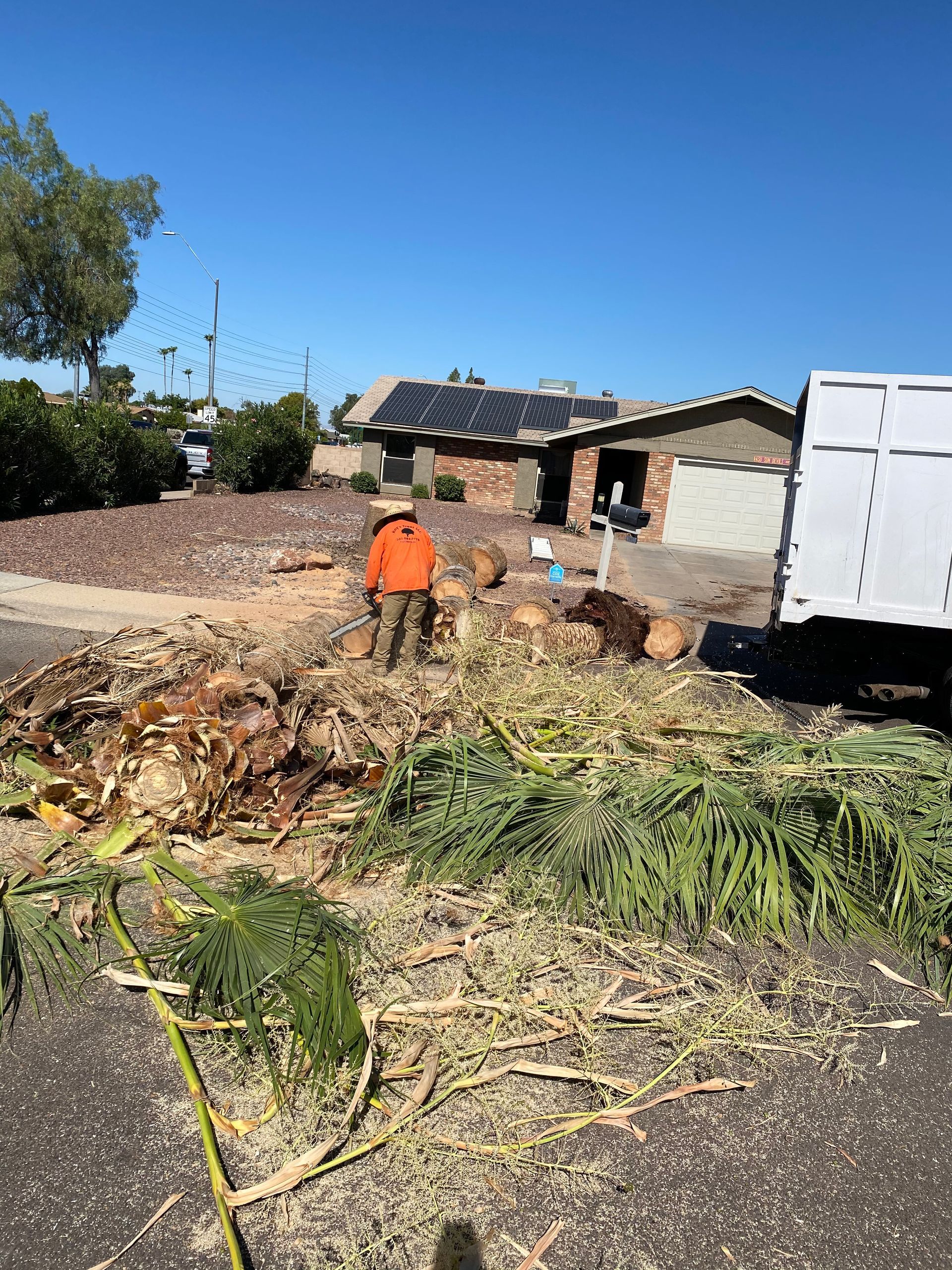 A man is standing in front of a pile of brush in front of a house.
