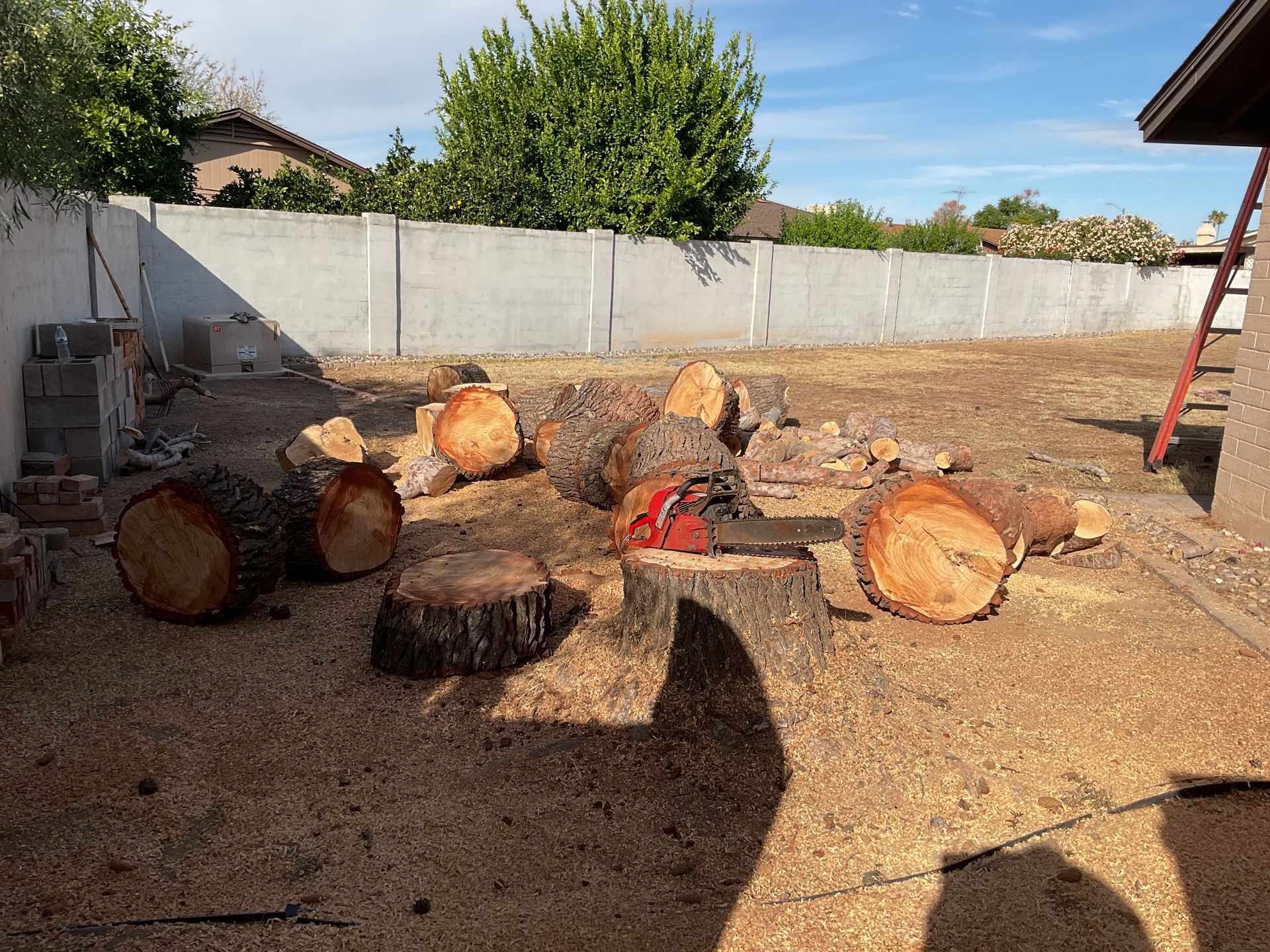 A chainsaw is sitting on a pile of logs in a yard