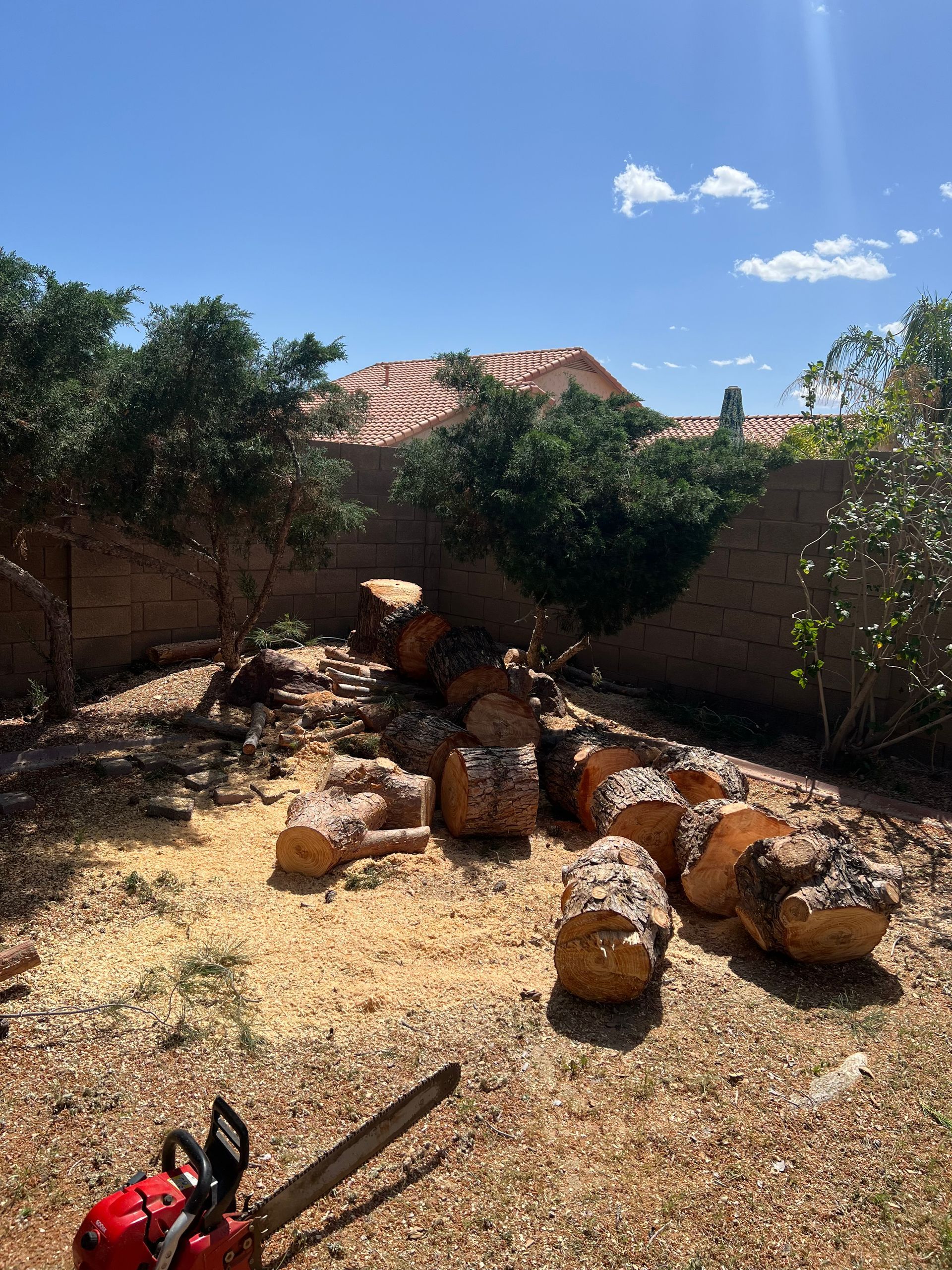 A chainsaw is sitting on the ground next to a pile of logs.