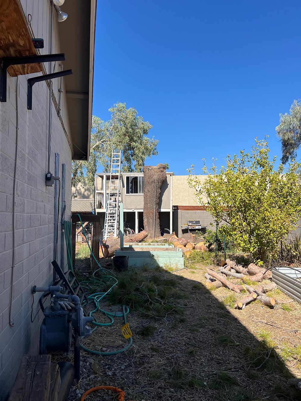 A backyard with a house in the background and a hose in the foreground.
