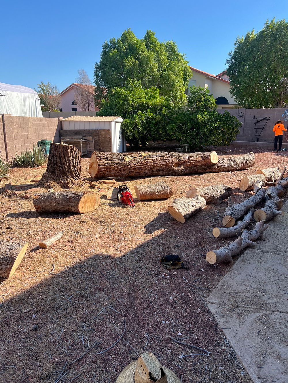 A lot of logs are laying on the ground in a yard.