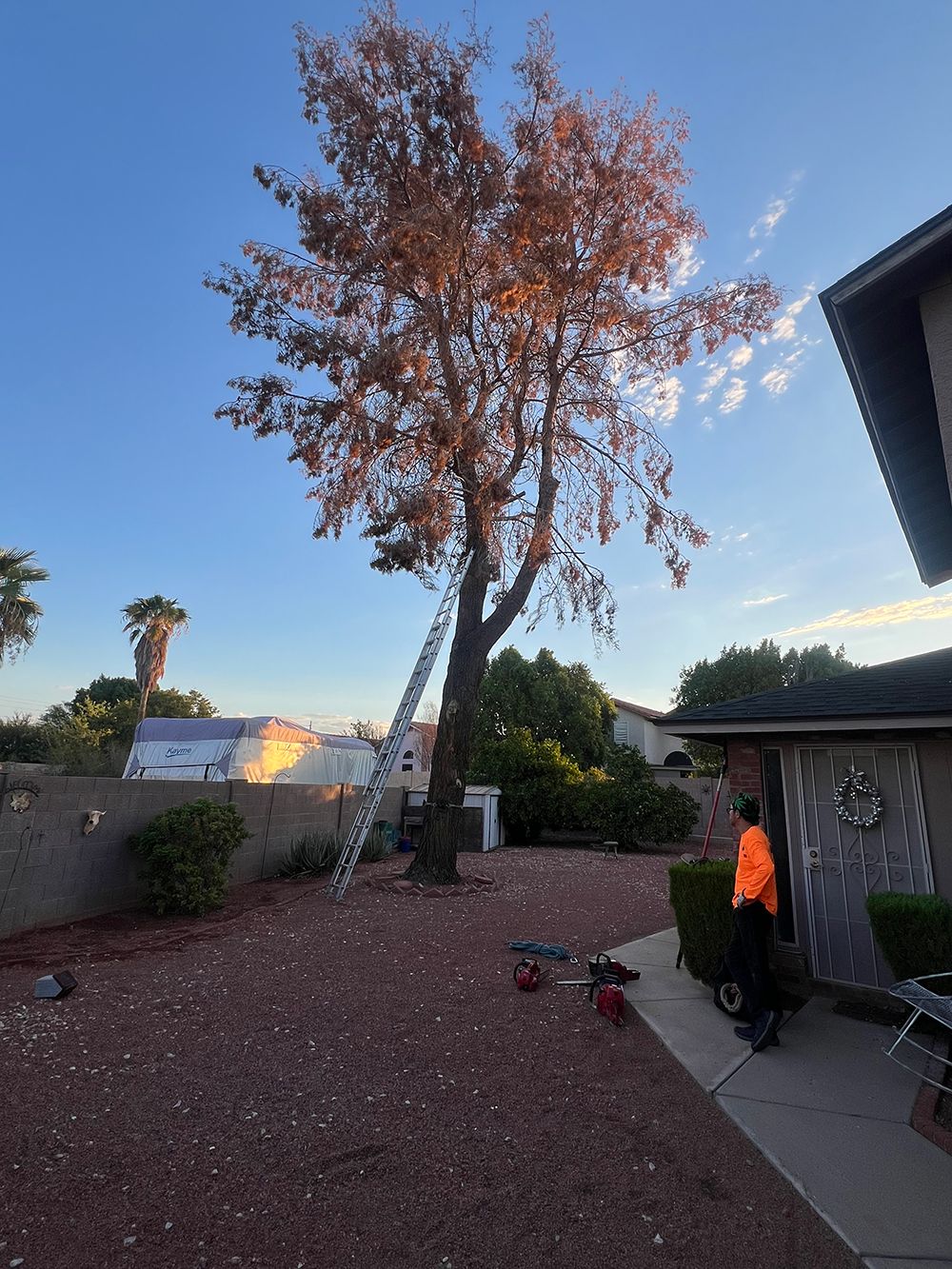 A man is standing in front of a house next to a tree with a ladder attached to it.
