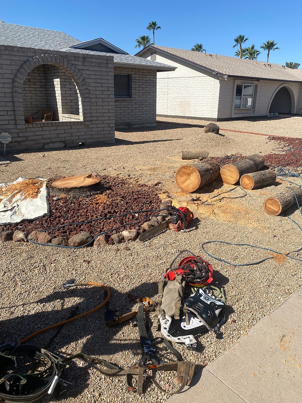 A person is cutting a tree in front of a house.