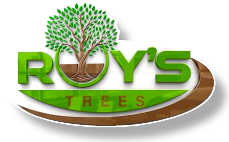 The logo for roy 's trees has a tree on it