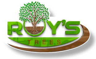 The logo for roy 's trees has a tree on it