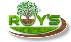 The logo for roy 's trees has a tree on it.