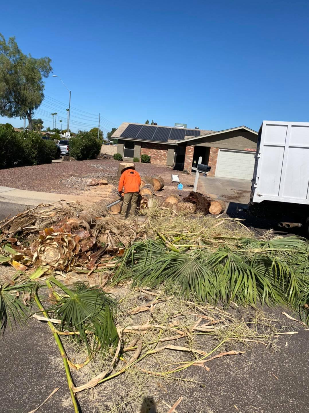 A man is standing next to a pile of logs in front of a house.
