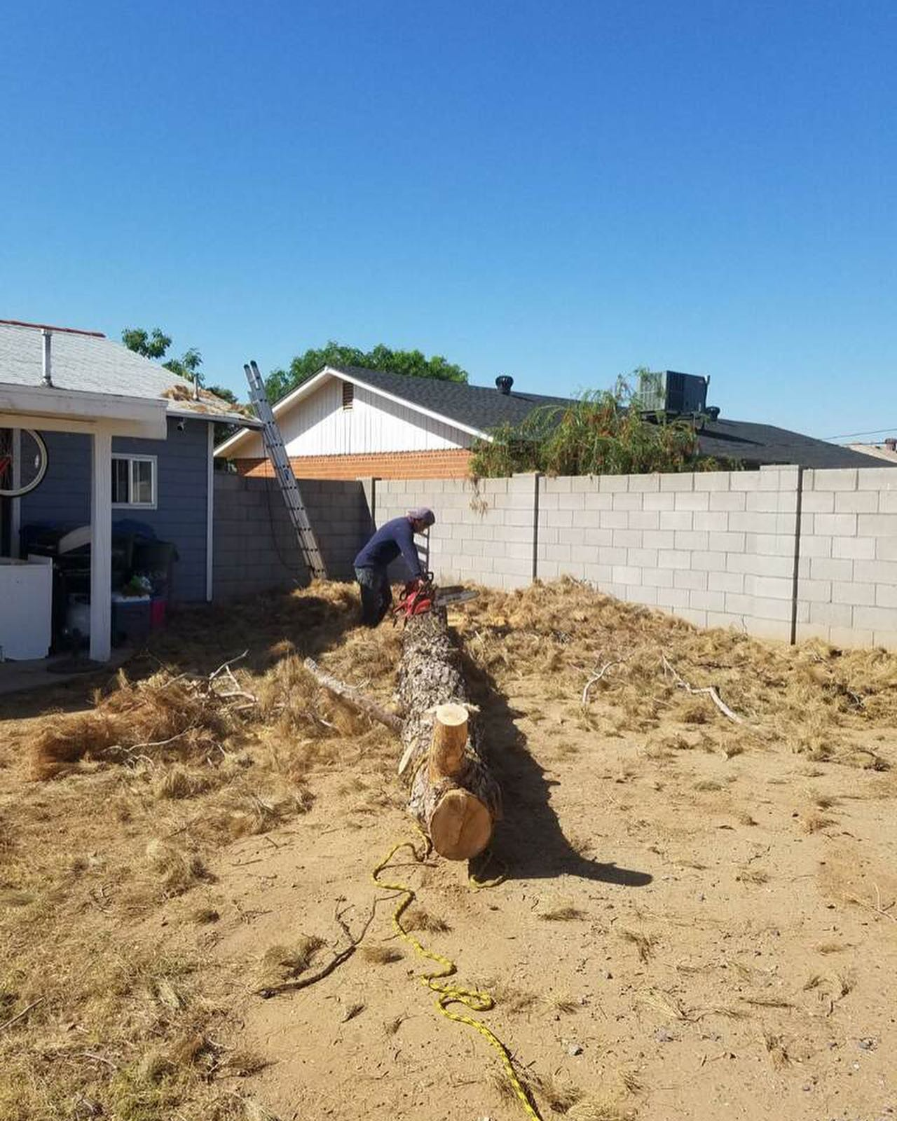 A man is working on a tree trunk in a backyard.