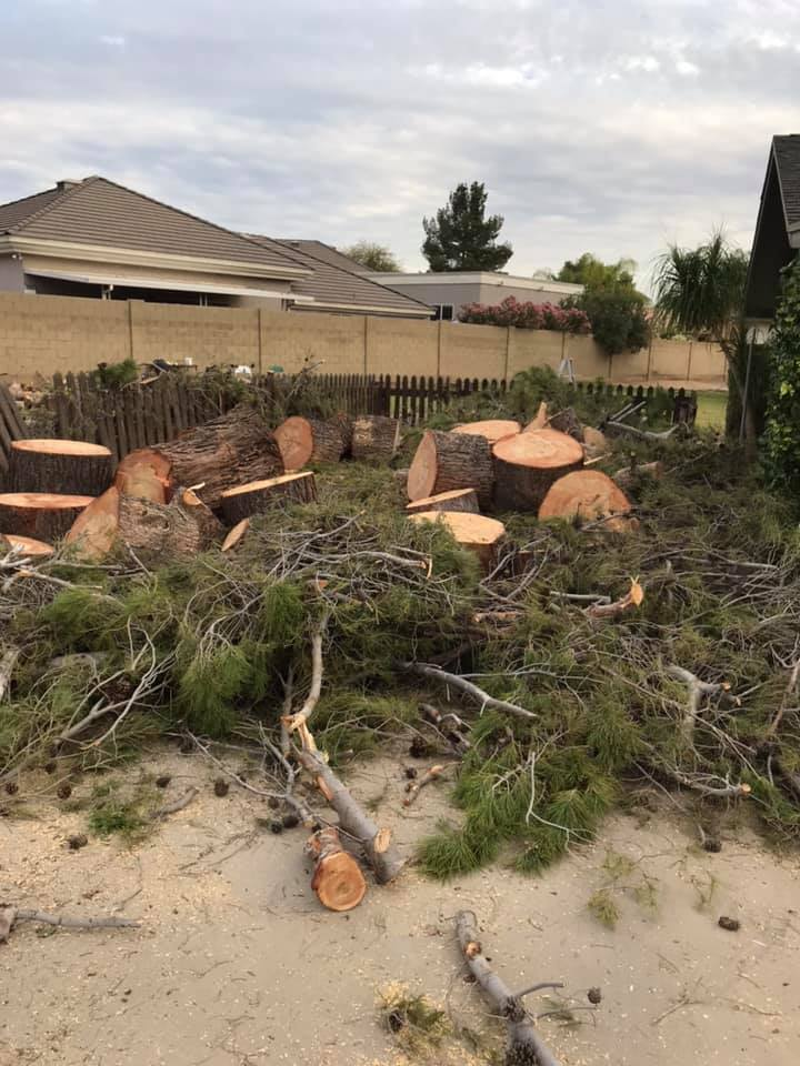 A pile of logs and branches in a yard in front of a house.