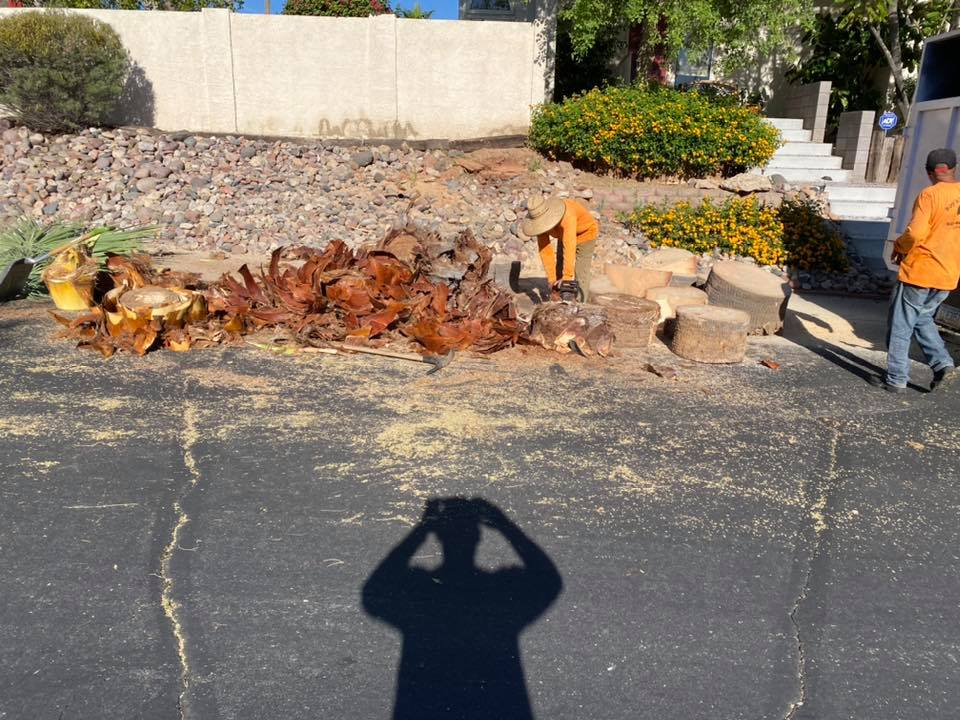 A man in an orange shirt is standing in front of a pile of logs.