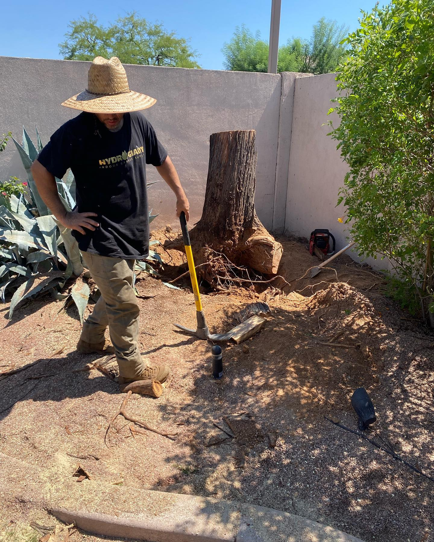 A man in a straw hat is standing next to a tree stump holding a shovel.