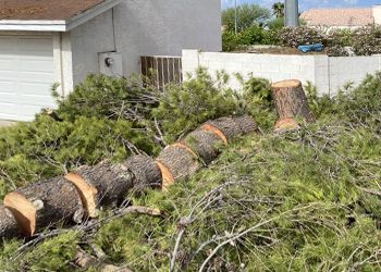 A pile of logs and branches in front of a house.