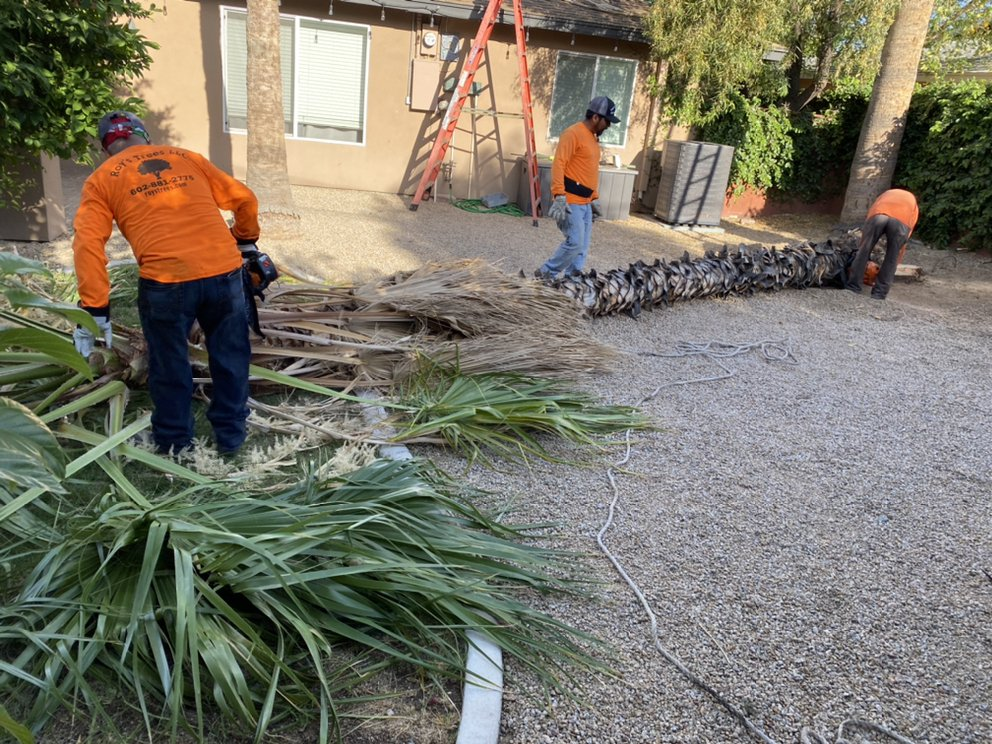 A group of men are working on a tree in front of a house.