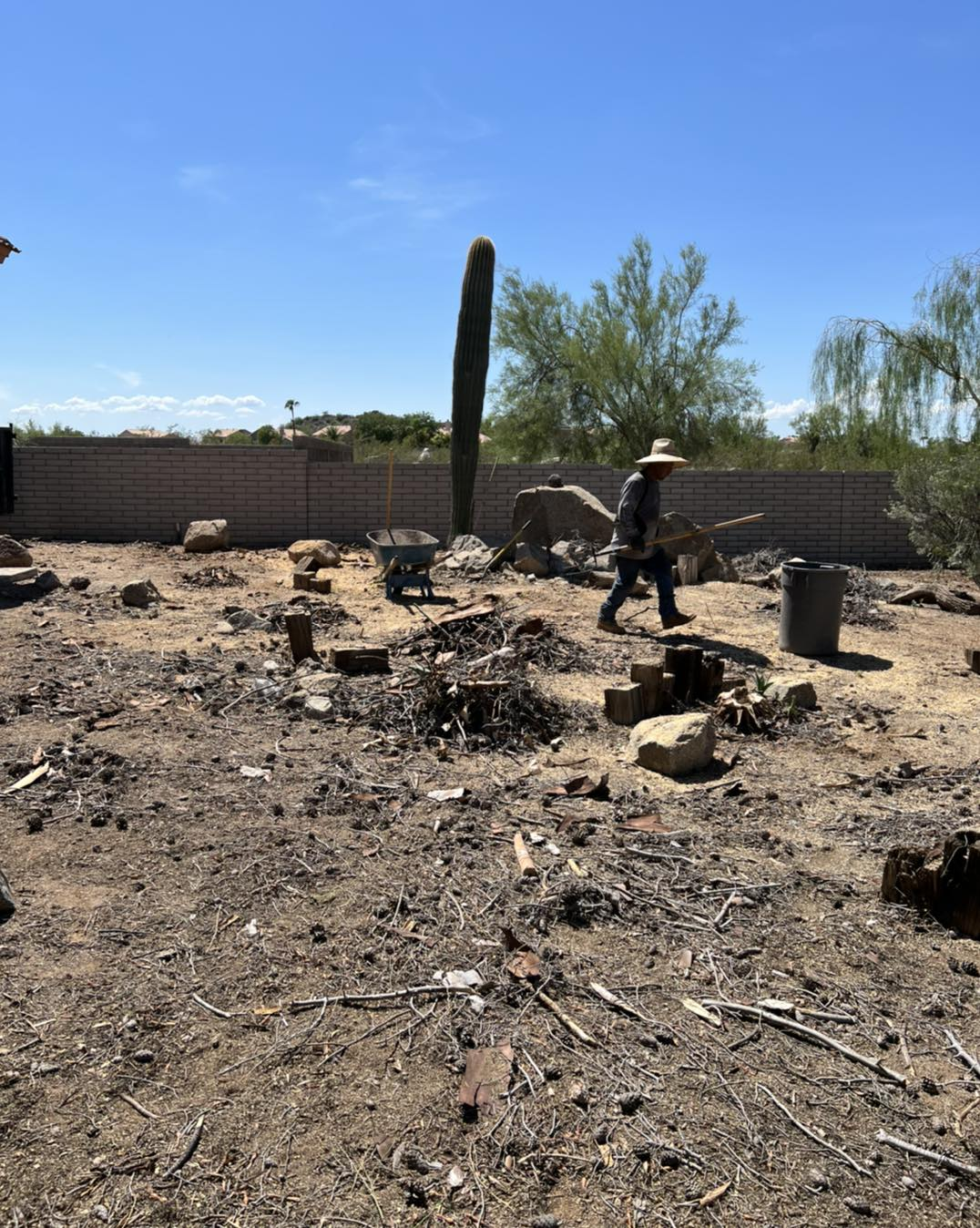 A man is walking through a dirt field with a cactus in the background.