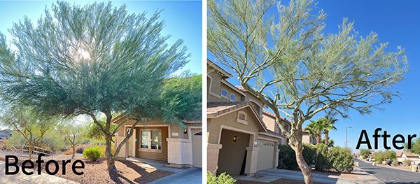 A before and after picture of a tree in front of a house.