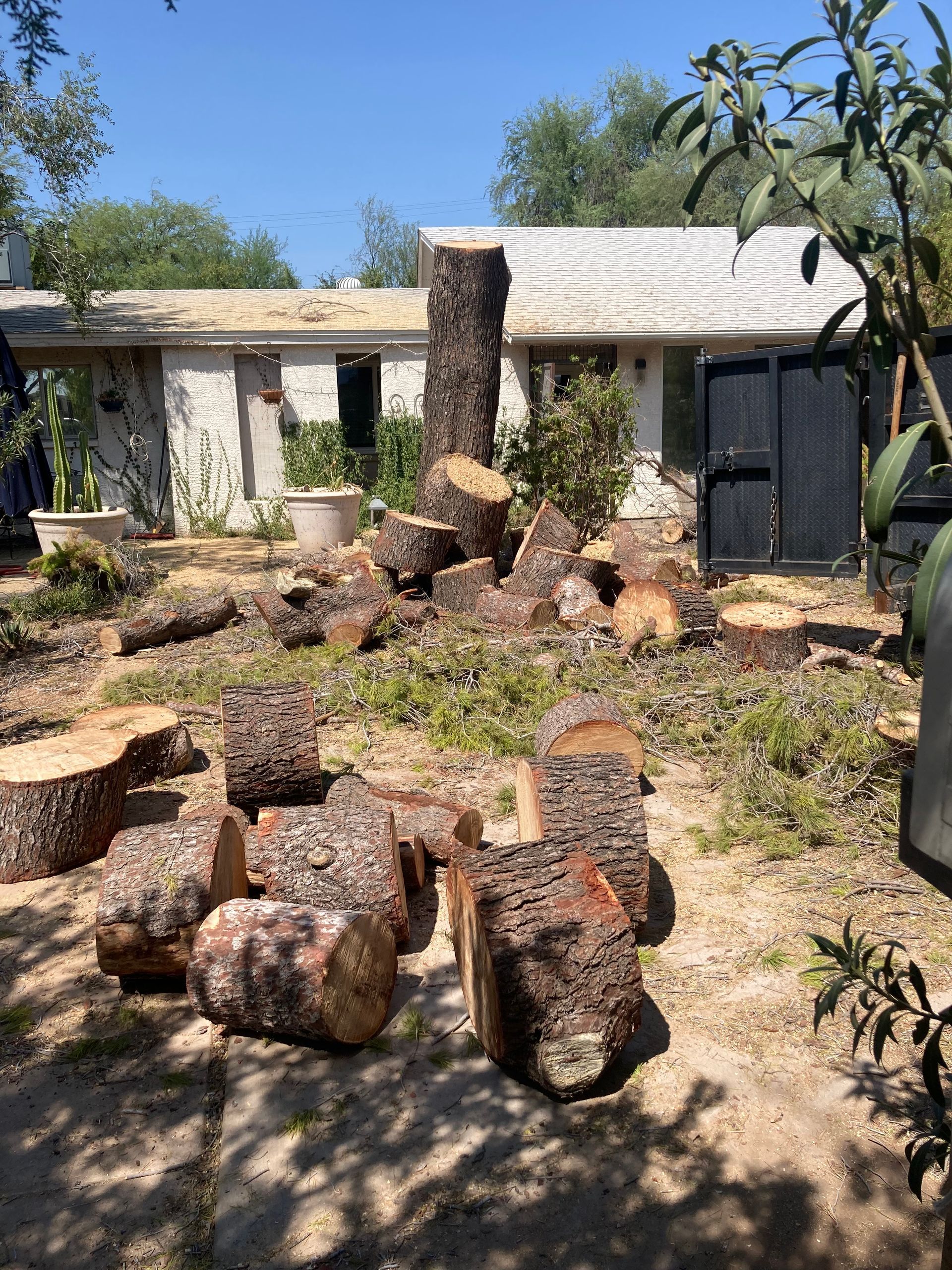 A pile of logs sits in front of a house