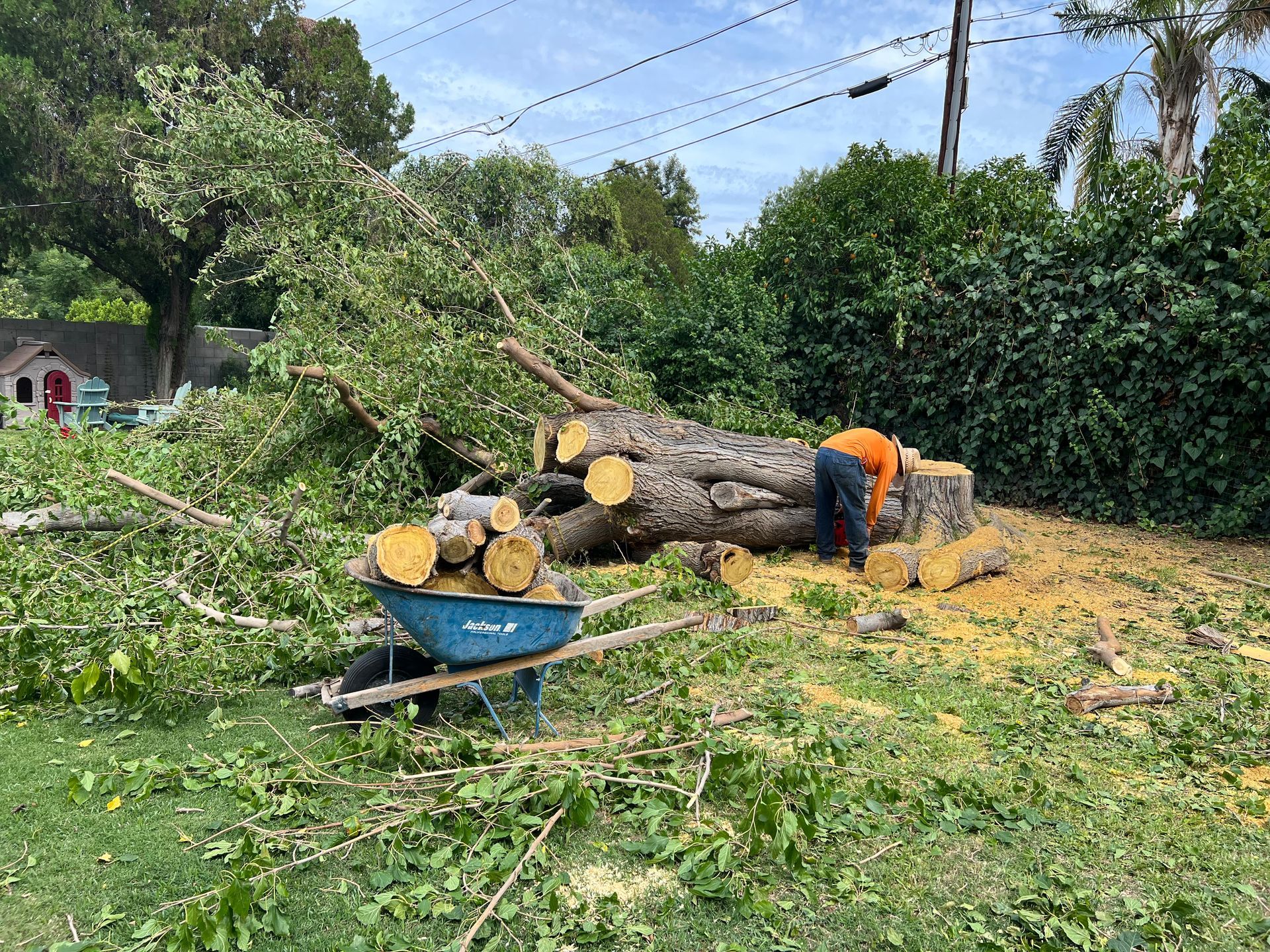 A man is standing next to a wheelbarrow filled with logs.