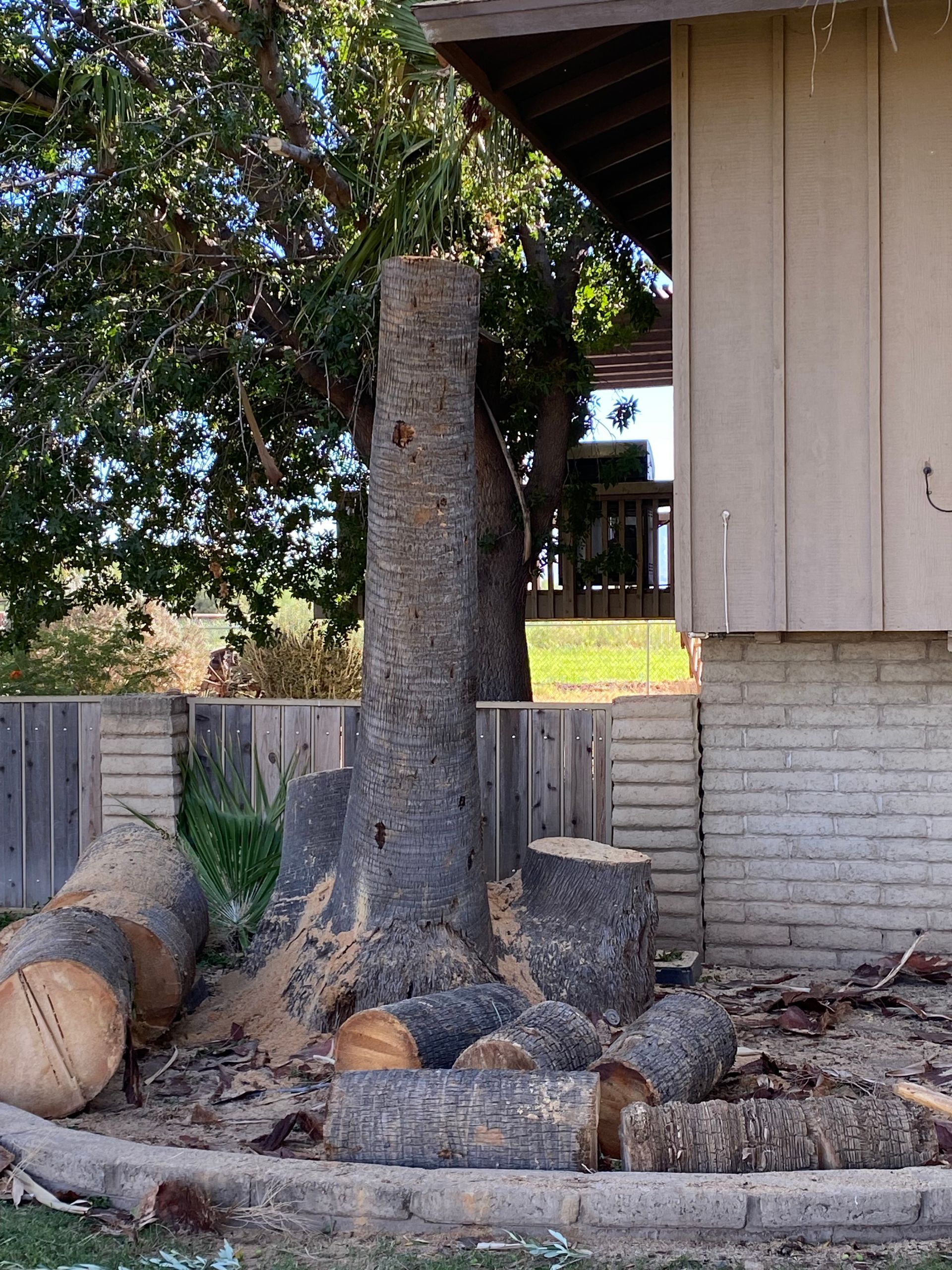 A tree that has been cut down in front of a house
