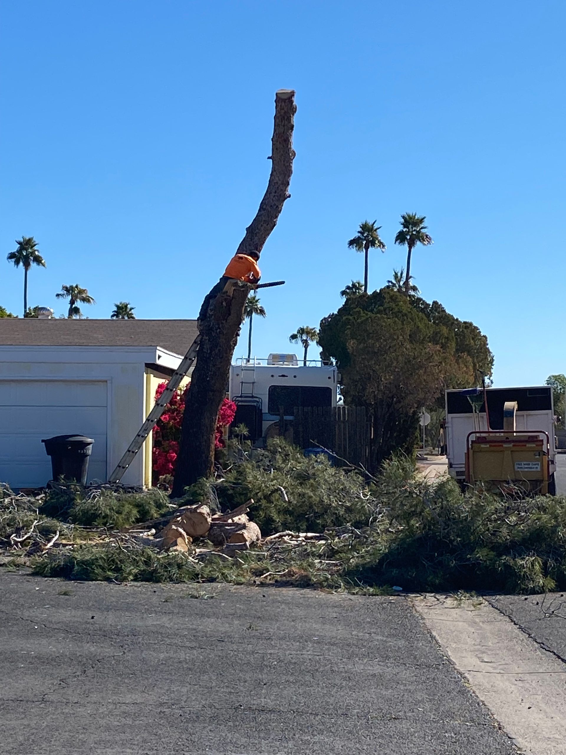 A tree is being cut down in front of a house