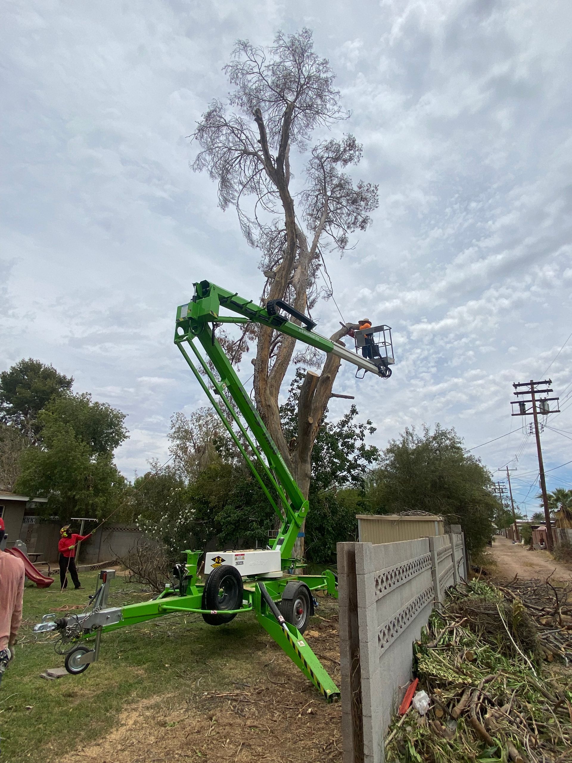 A green crane is cutting a tree in a yard.