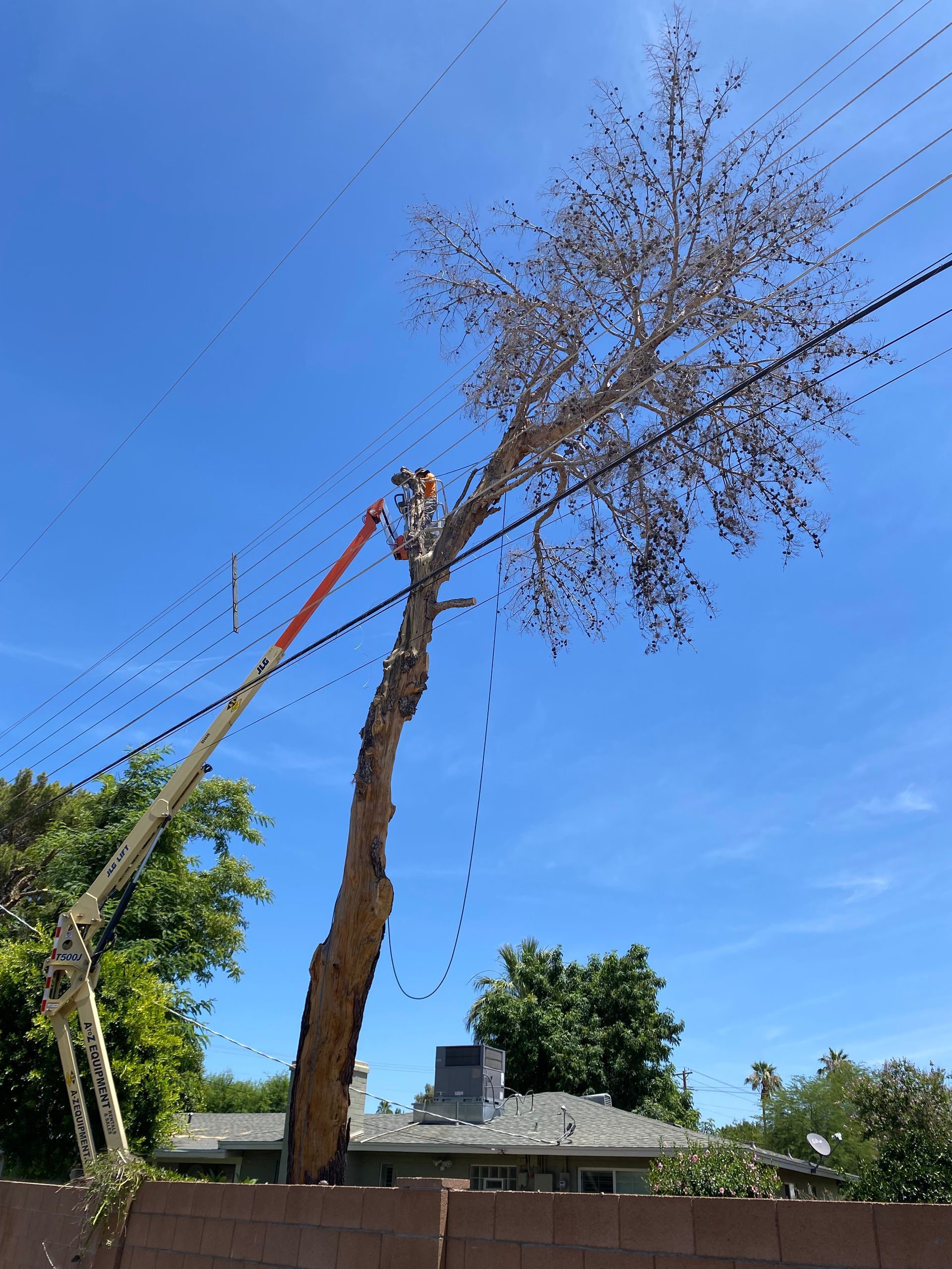 A tree being cut down by a crane in front of a house